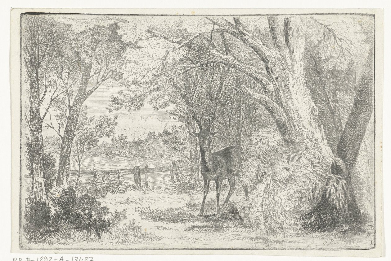 Paysage de parc avec cerf - Jan Bos Wz.