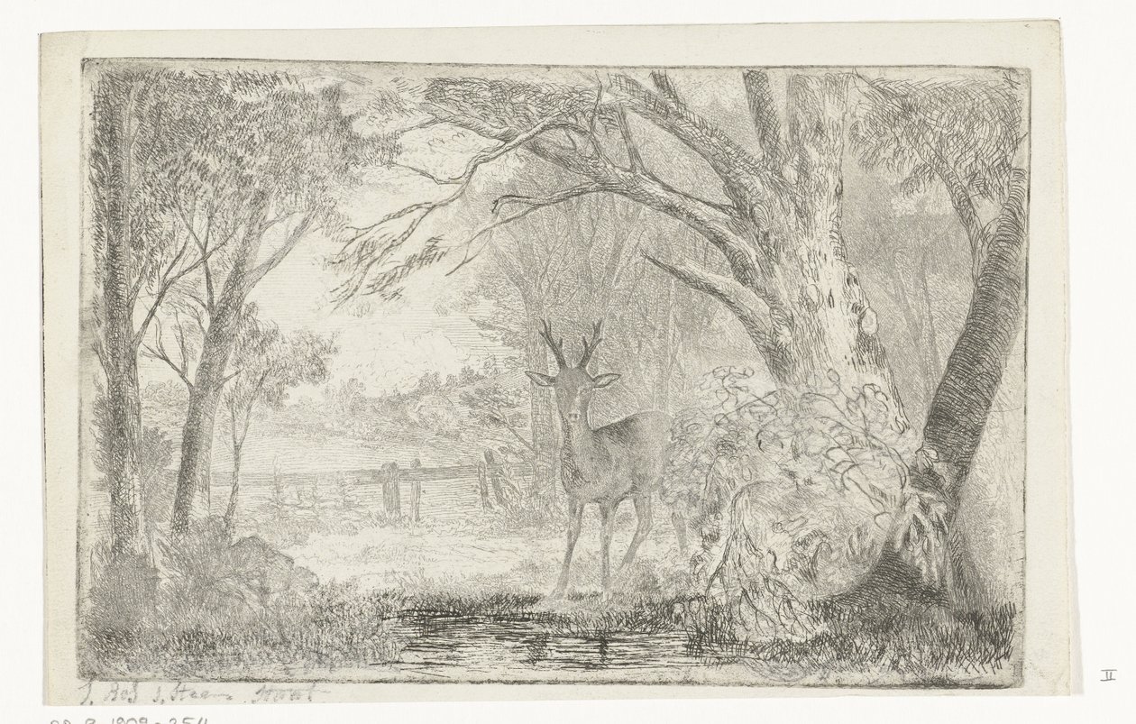 Paysage de parc avec cerf - Jan Bos Wz.