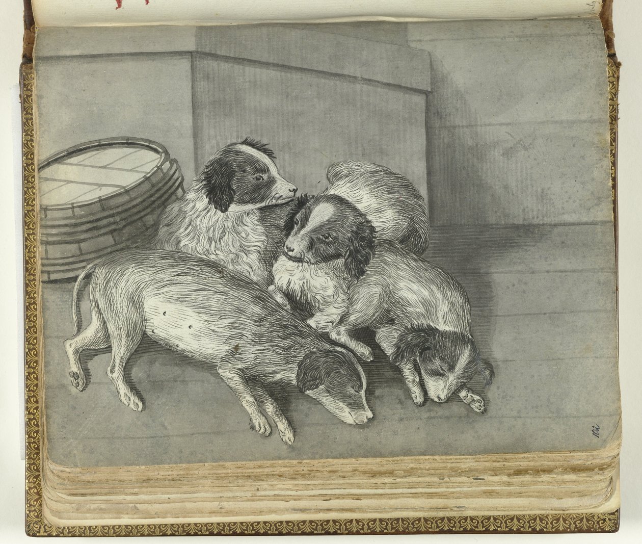 Chiens - Jan Brandes