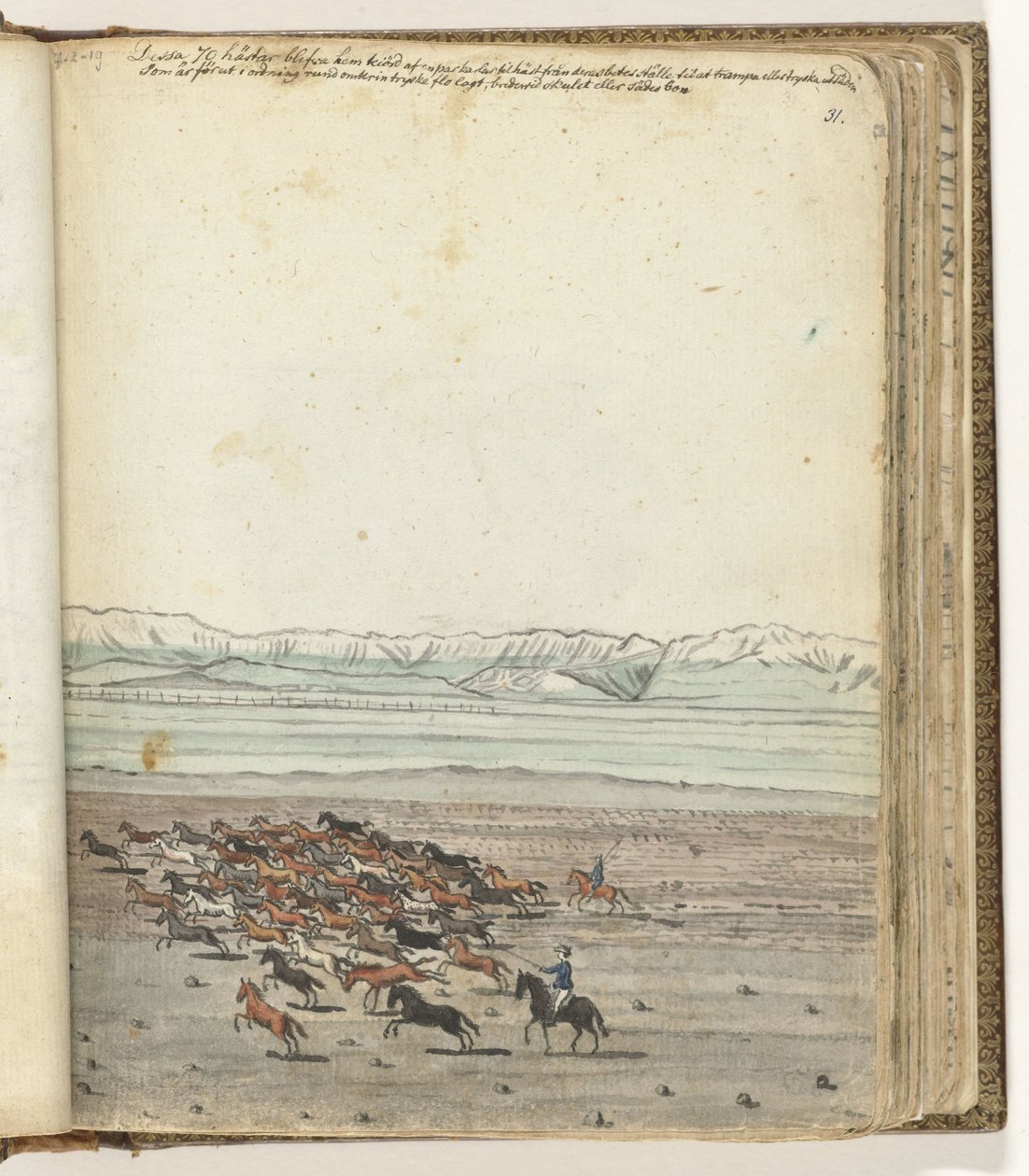 Troupeau de chevaux - Jan Brandes