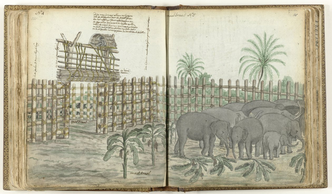 Enclos de jeu et de broyage des éléphants - Jan Brandes