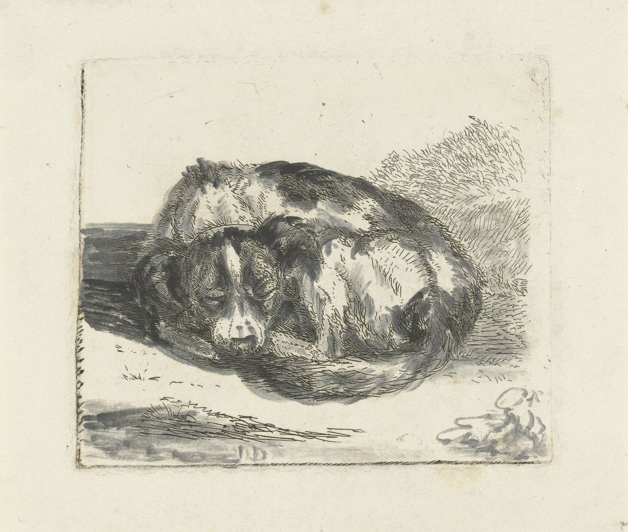 Chien endormi - Jan Dasveldt