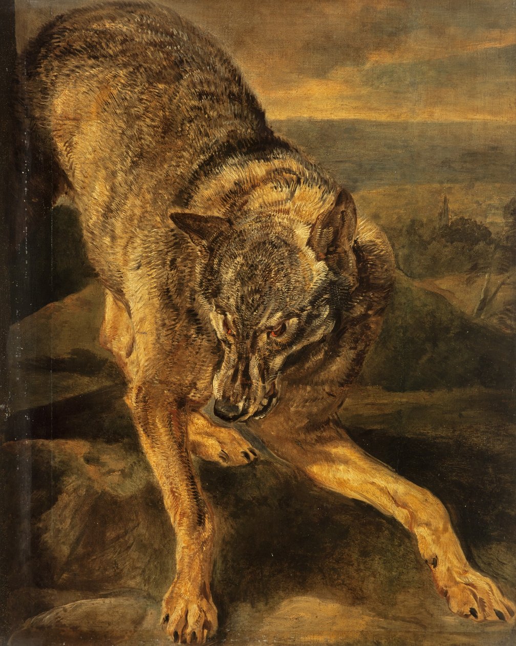 Un loup - Jan Fyt