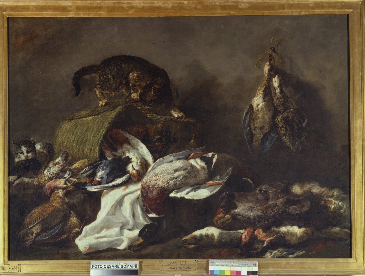 Nature morte avec un chat - Jan Fyt