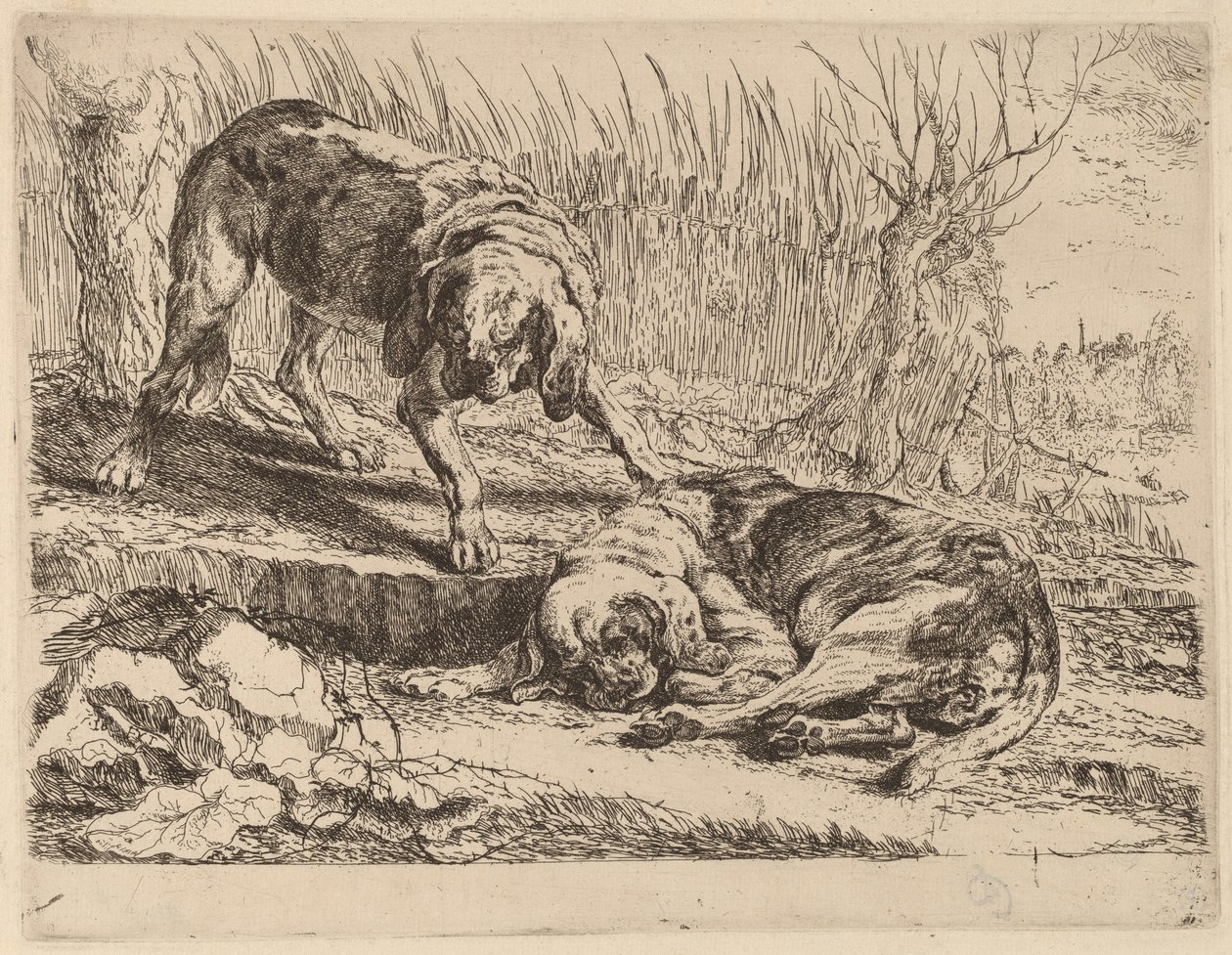 Deux Beagles, un dormant - Jan Fyt