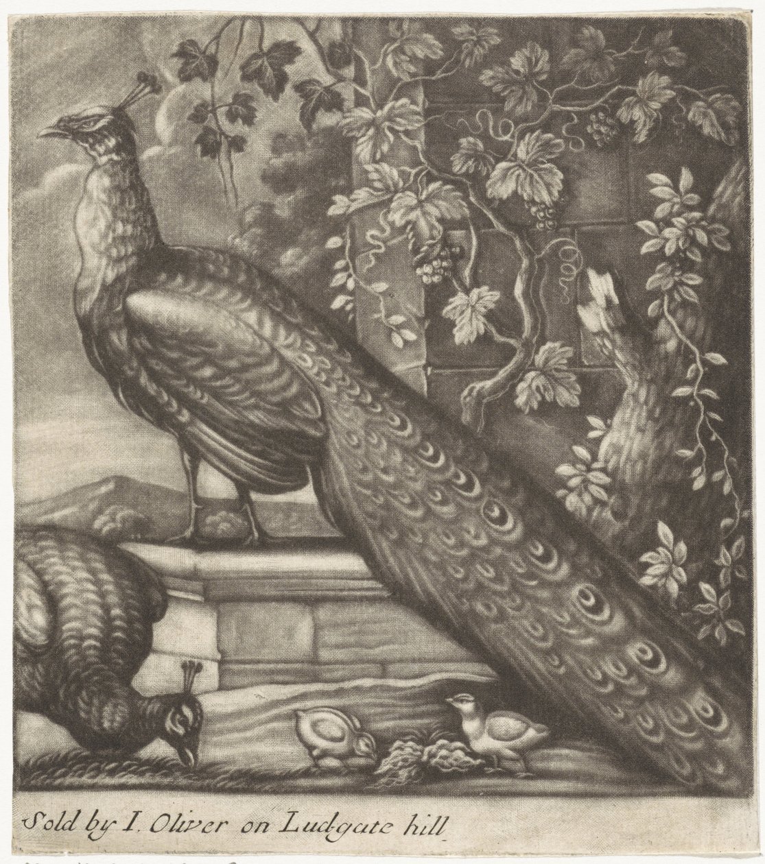 Paons - Jan Griffier (I)
