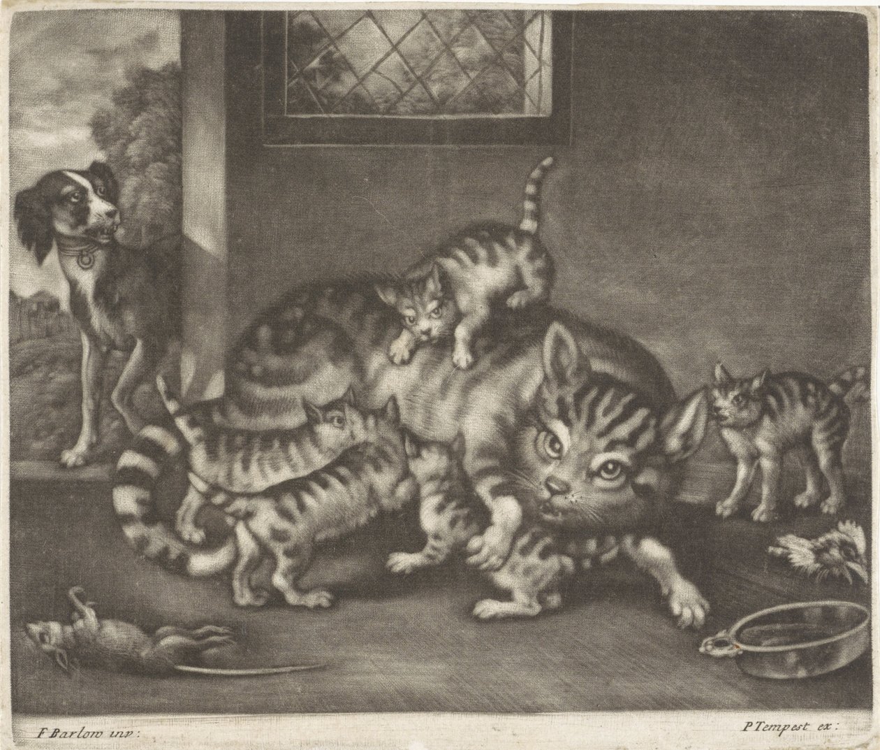 Chat avec cinq chatons - Jan Griffier (I)