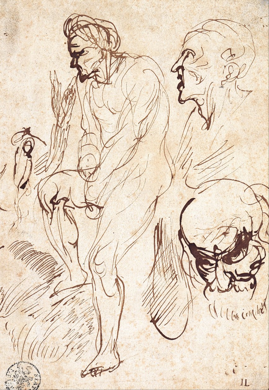 Études après le modèle - Jan Lievens