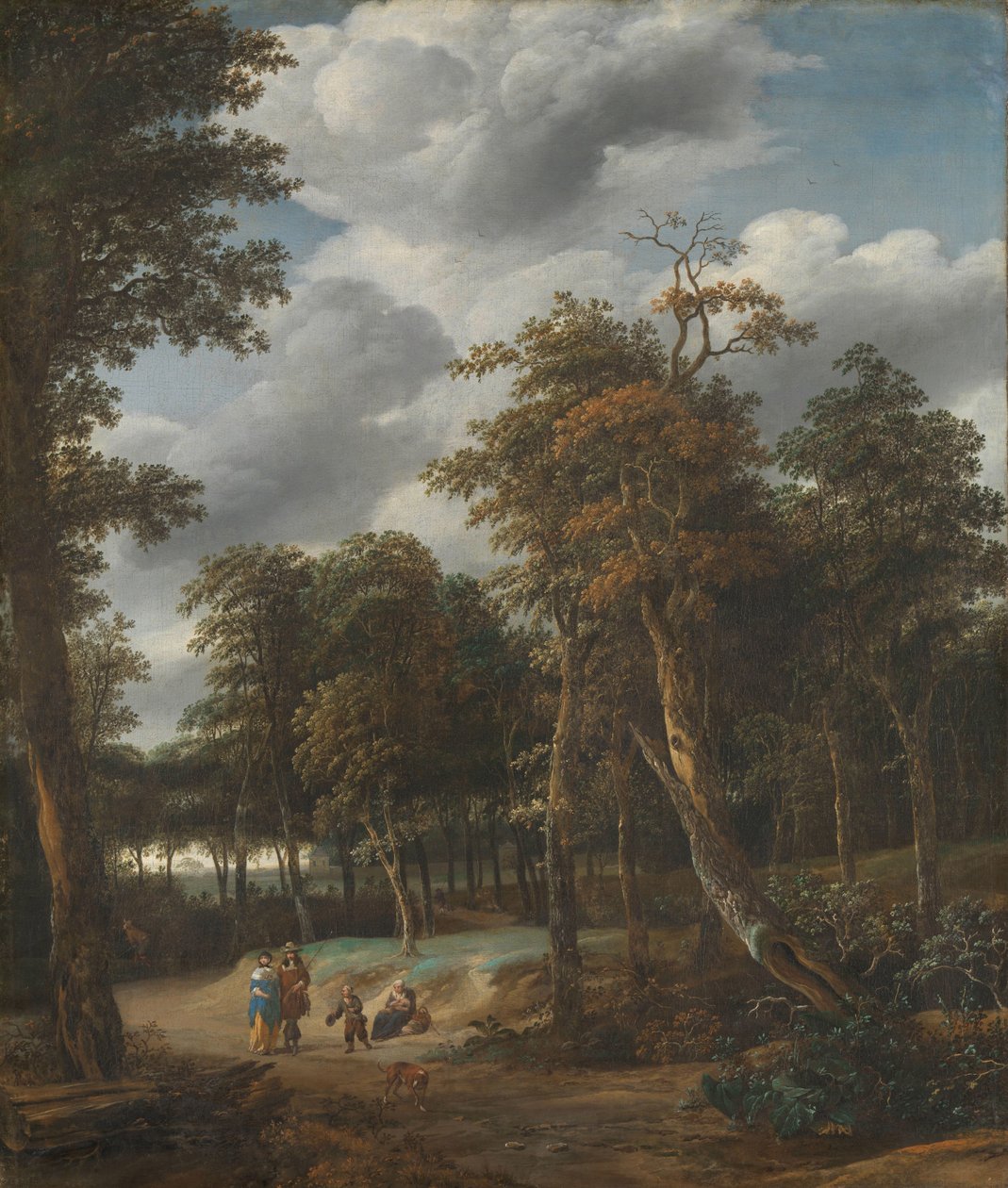 Route forestière - Jan Looten