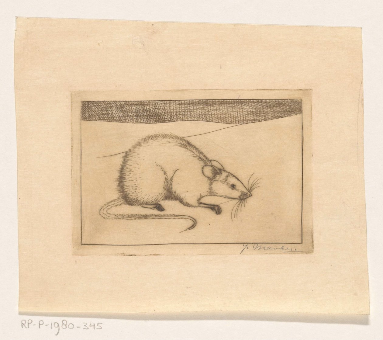 Souris - Jan Mankes (signed by artist)