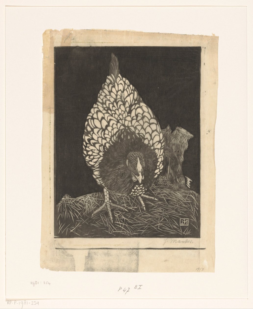 Wyandotte argentée - Jan Mankes (signed by artist)