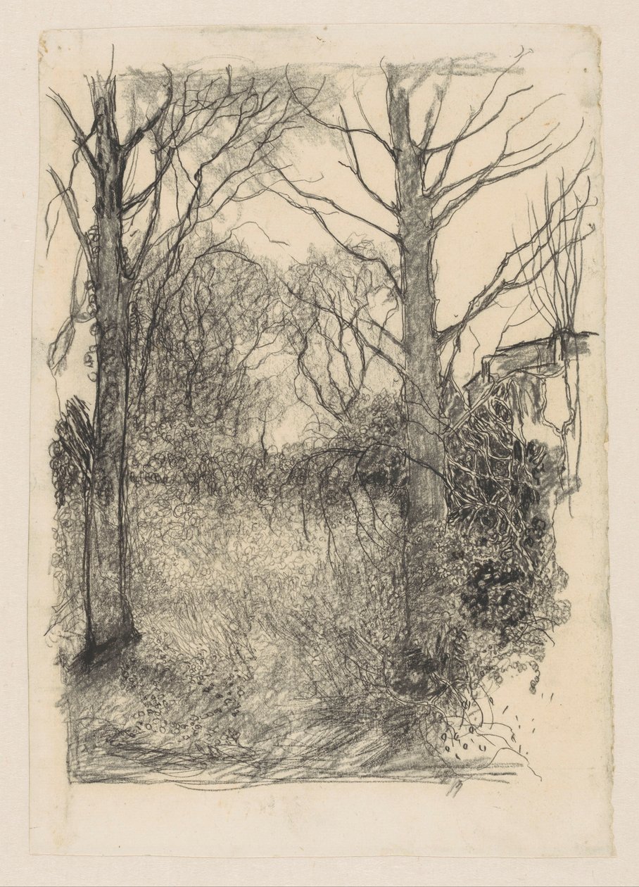 Lisière de forêt - Jan Mankes