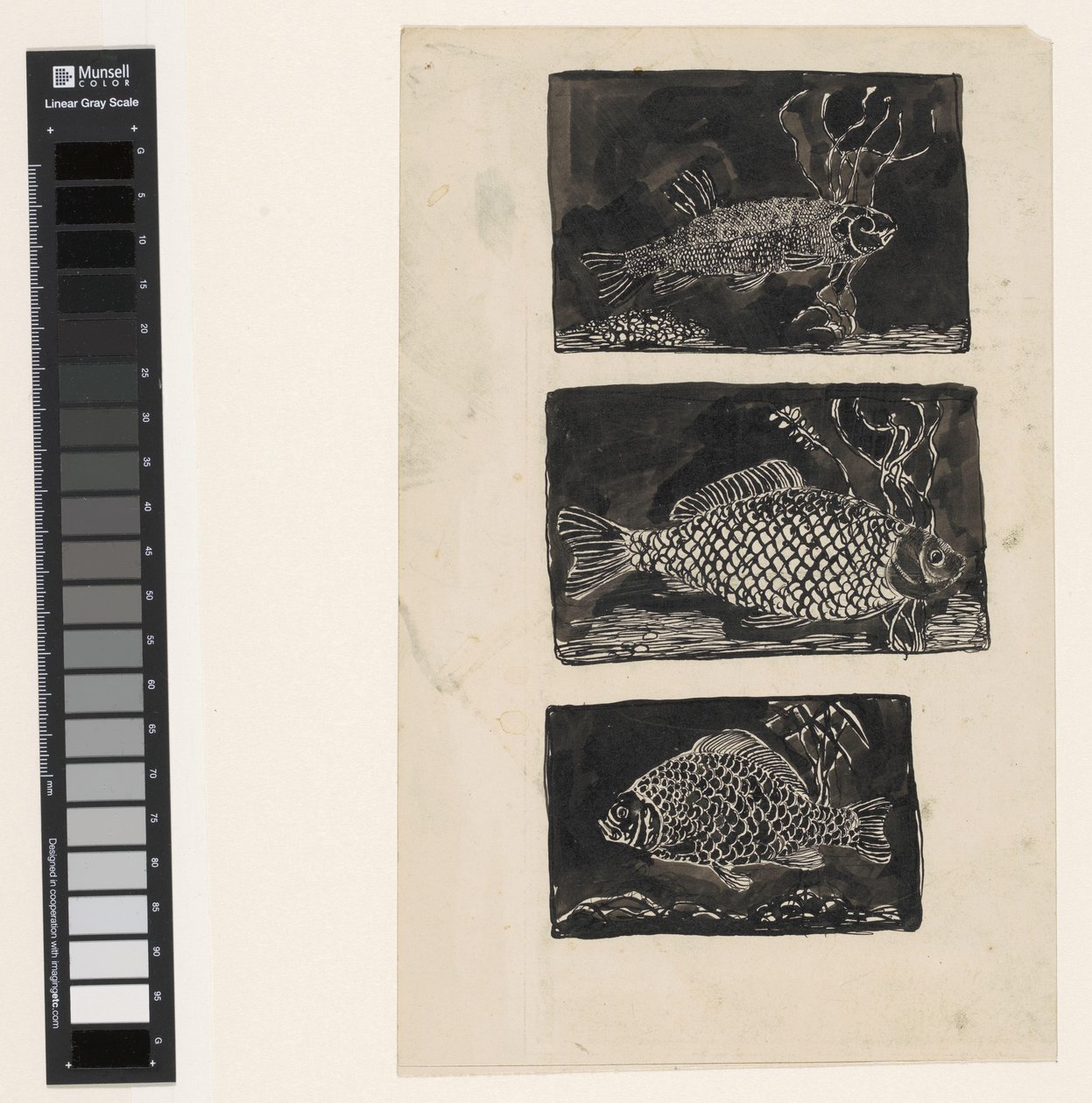 Trois poissons - Jan Mankes
