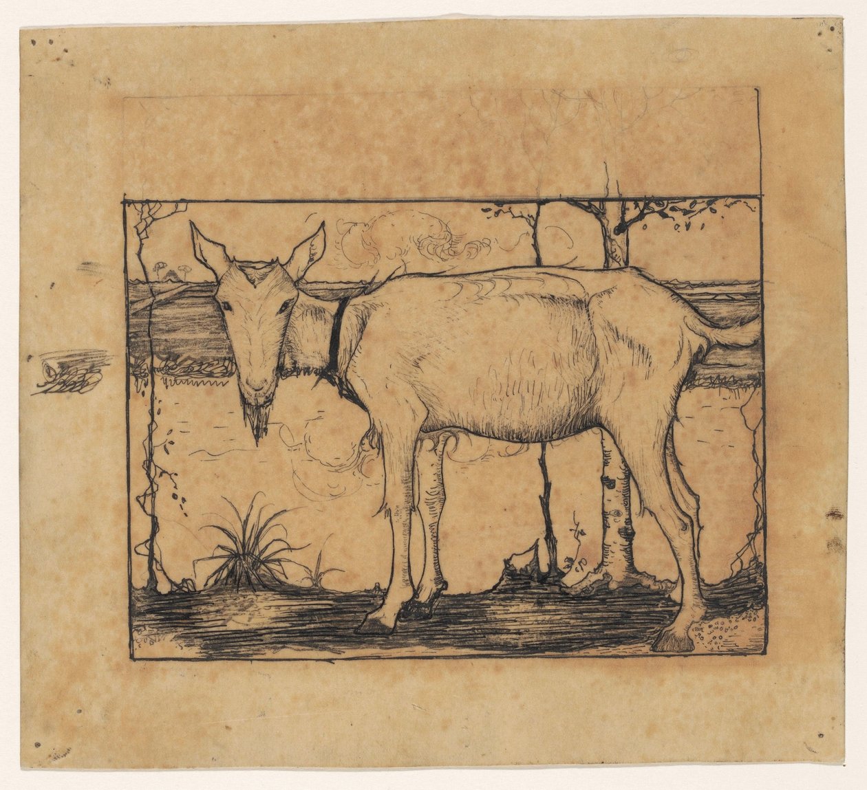 Chèvre au bord du fossé - Jan Mankes