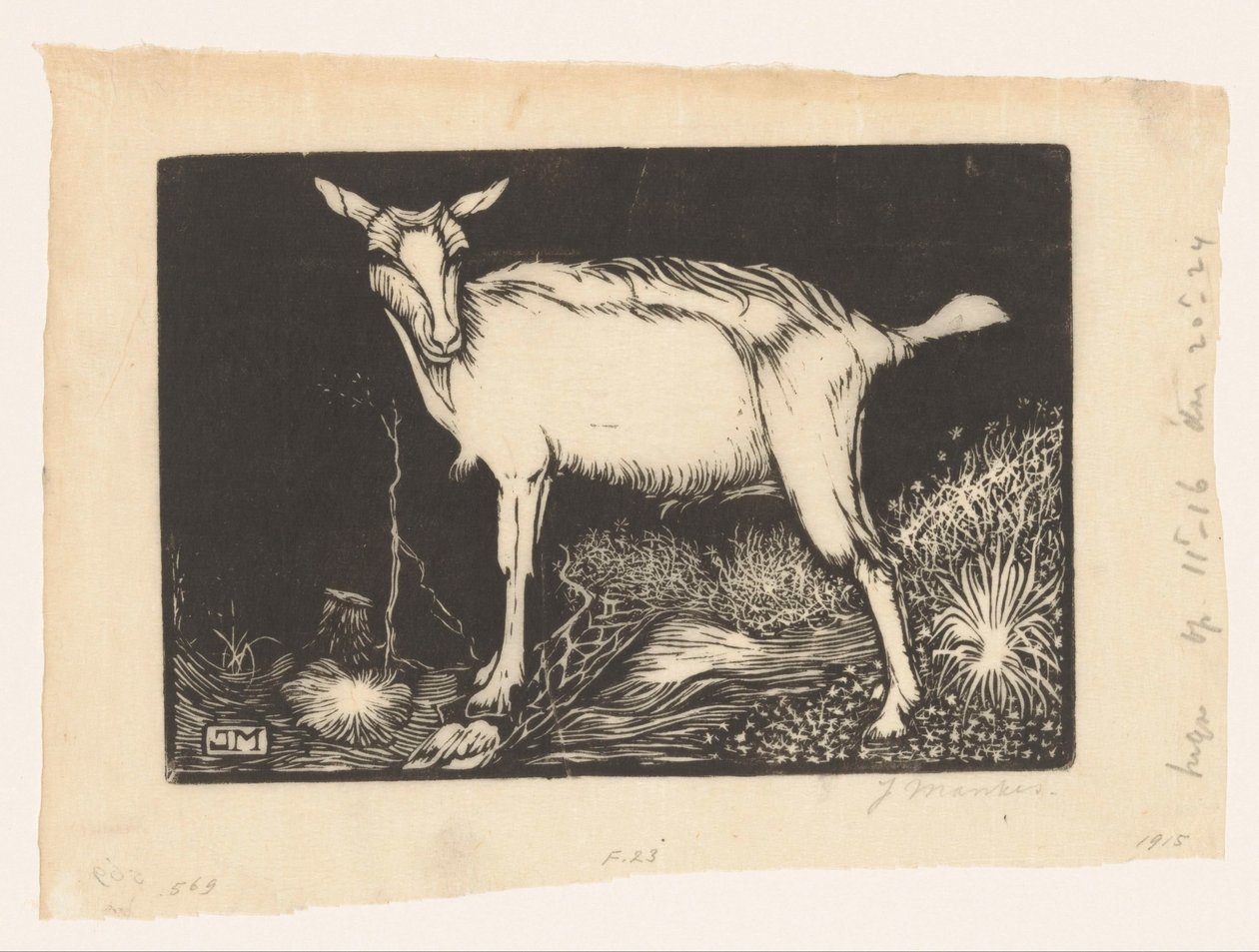 Chèvre blanche - Jan Mankes
