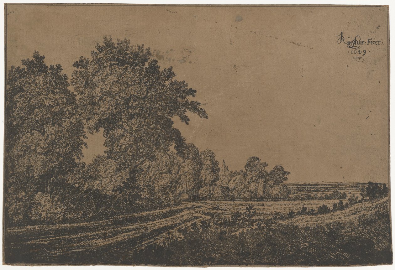 Chemin de campagne avec arbres - Jan Ruyscher
