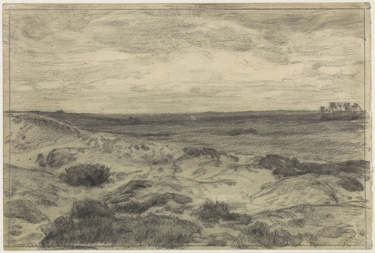 Paysage de bruyère près de Laren - Jan Veth