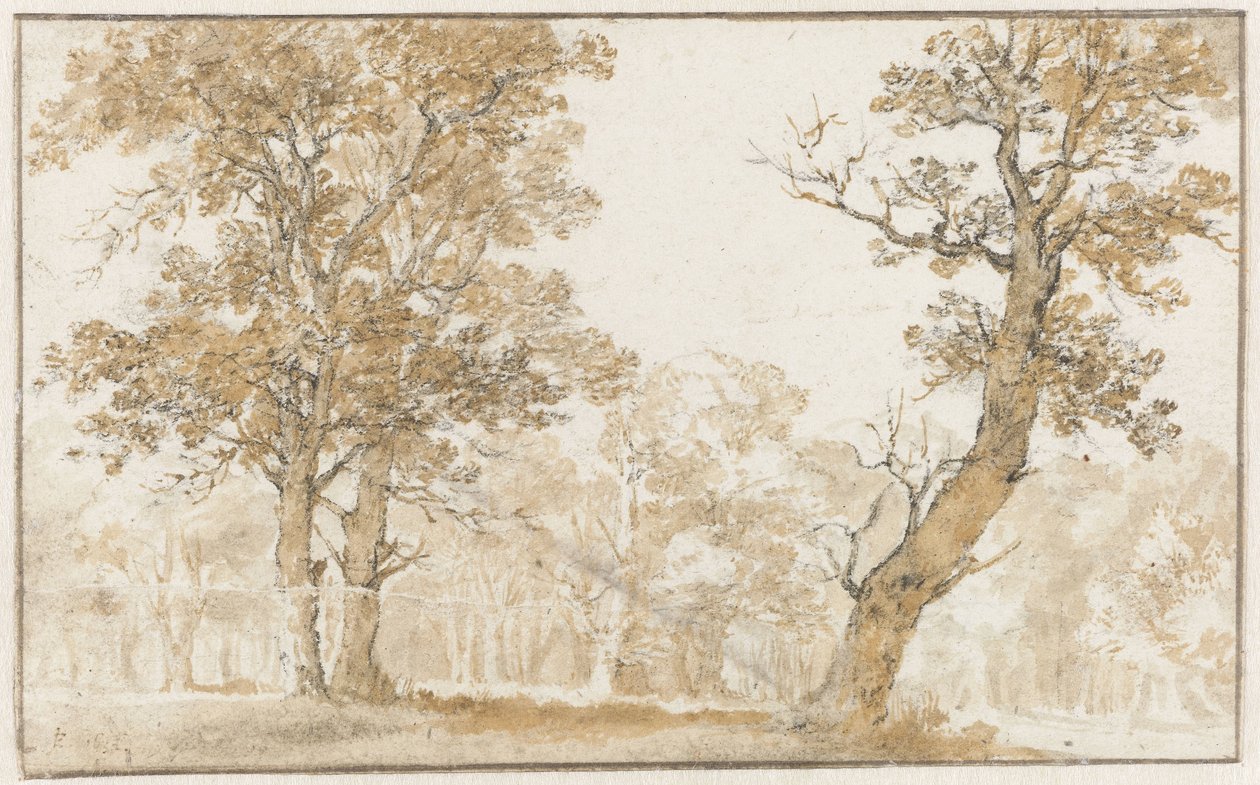 Forêt de La Haye - Jan de Bisschop