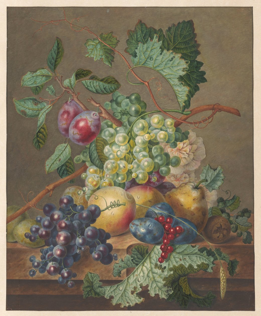 Nature Morte avec des Fruits - Jan de Bruyn