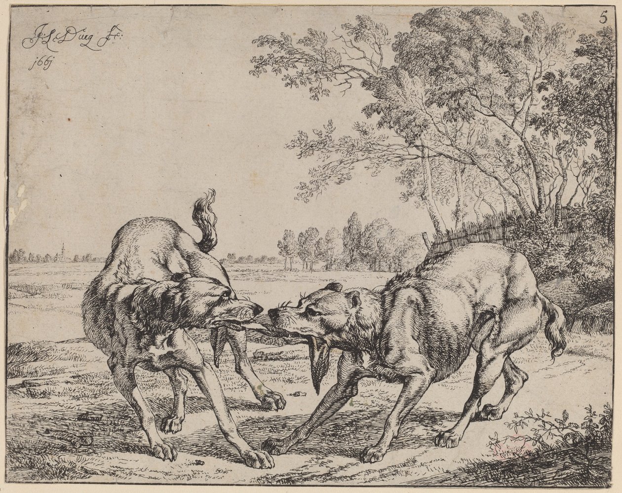 La viande disputée - Jan le Ducq