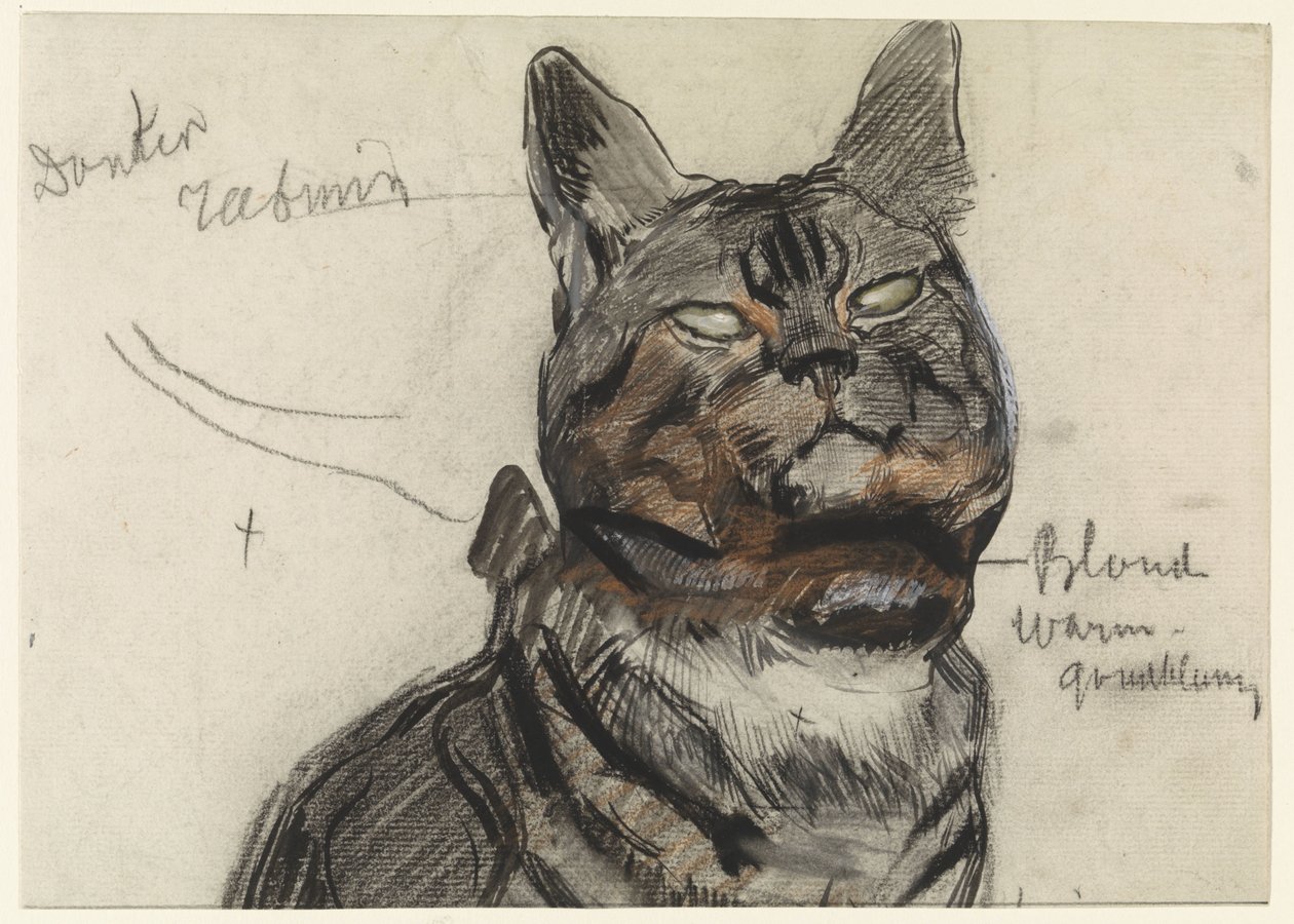Chat, avec des annotations de couleur - Jan van Essen