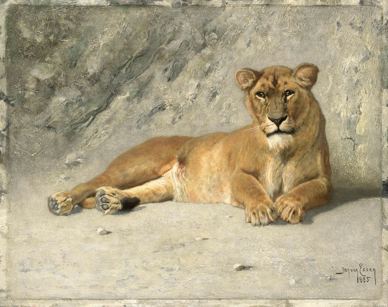 Lionne au repos - Jan van Essen