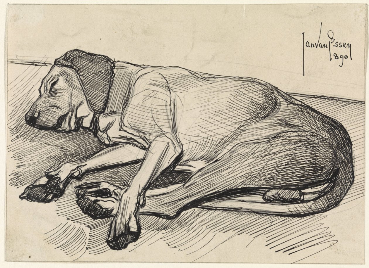 Chien endormi, vers la gauche - Jan van Essen