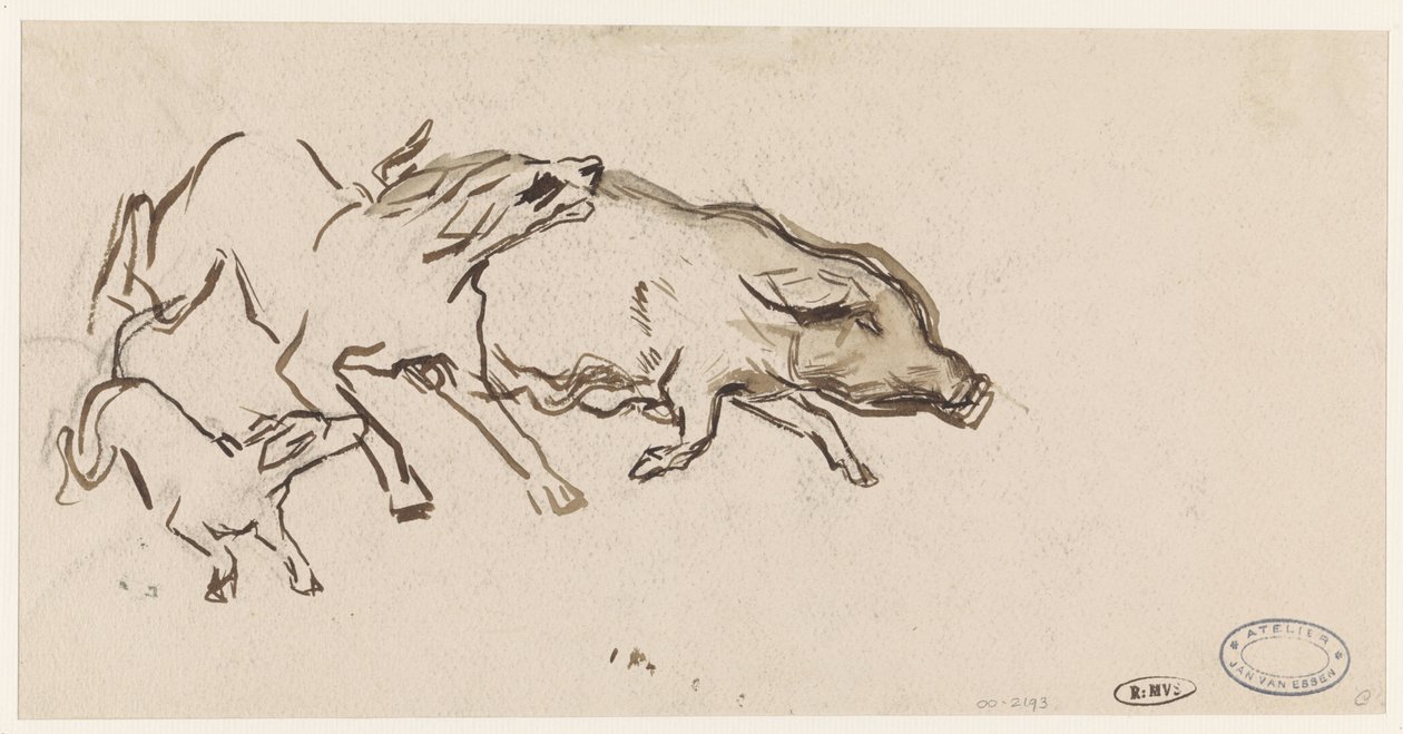 Deux chiens chassant un cochon - Jan van Essen