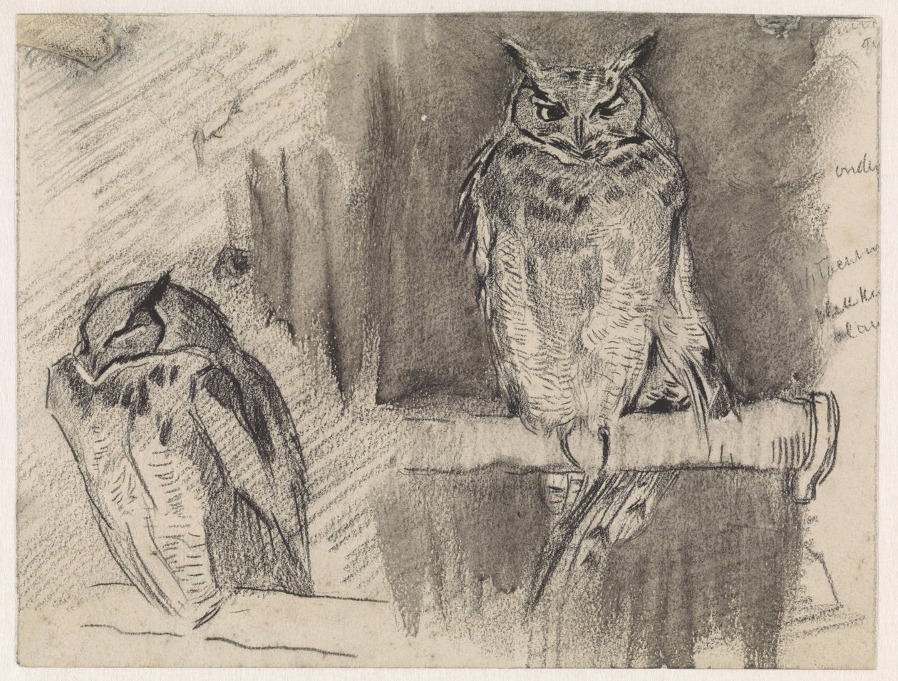 Deux études d