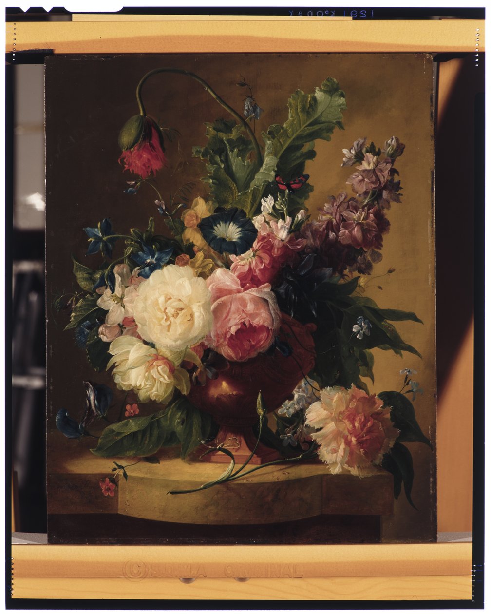 Nature morte de fleurs - Jan van Huysum