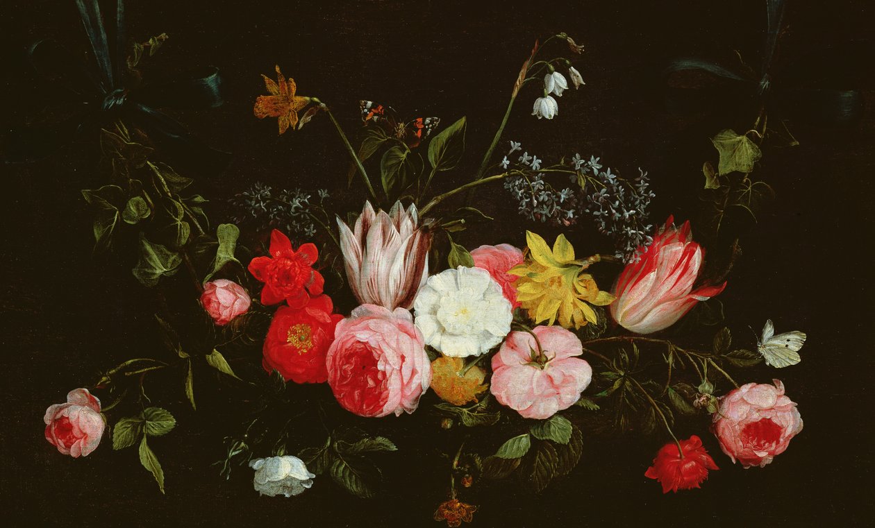 Image inconnue - Jan van Kessel