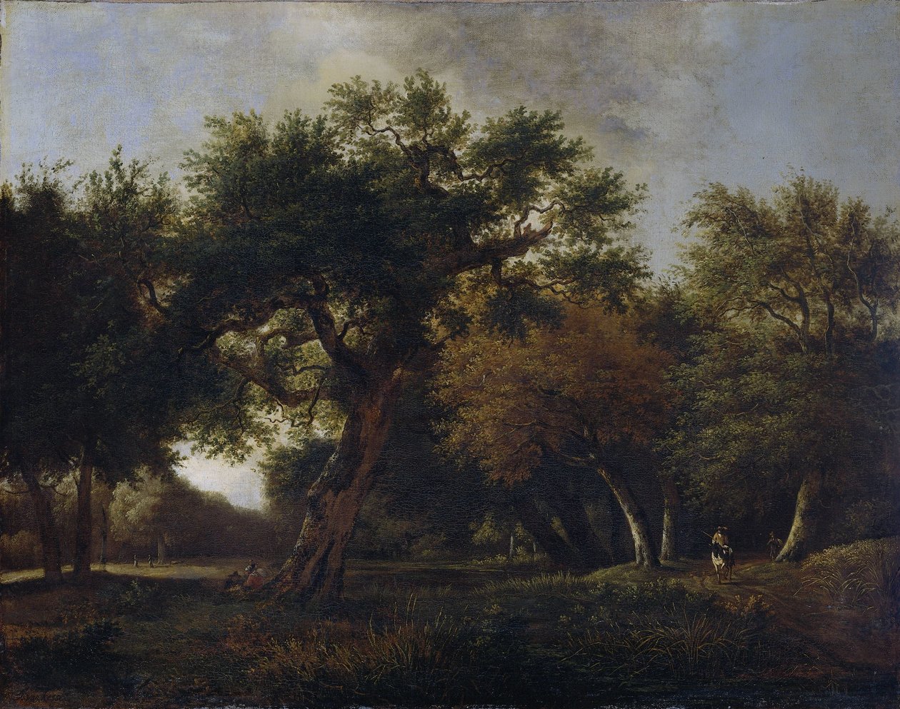 Vue dans les bois - Jan van  Kessel