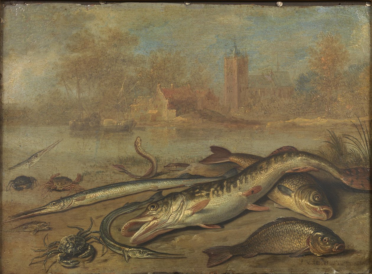 Poissons et paysages - Jan van Kessel the Elder