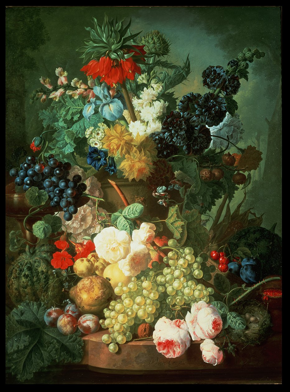 Image inconnue - Jan van Os