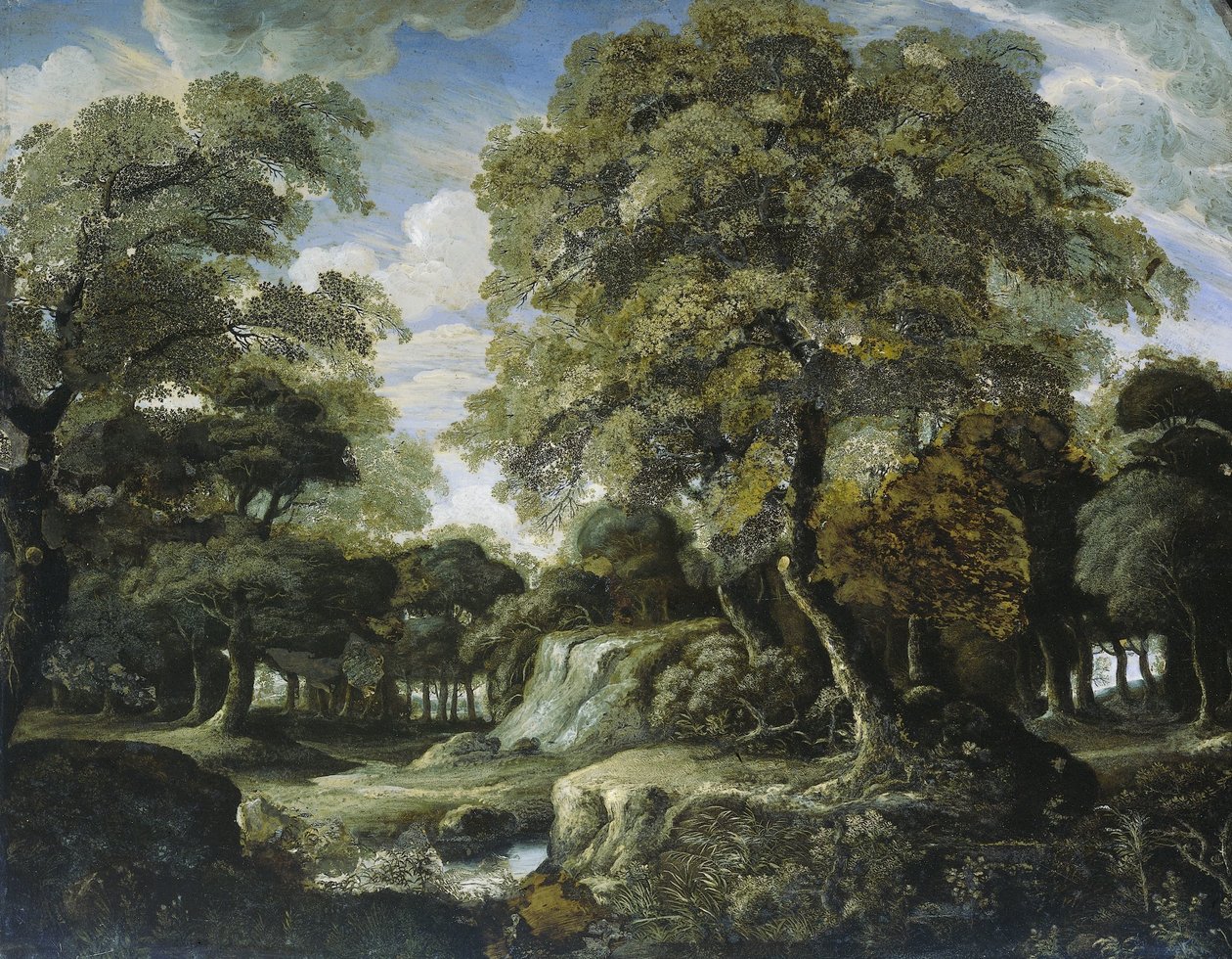 Vue dans les bois - Jan van der Heyden