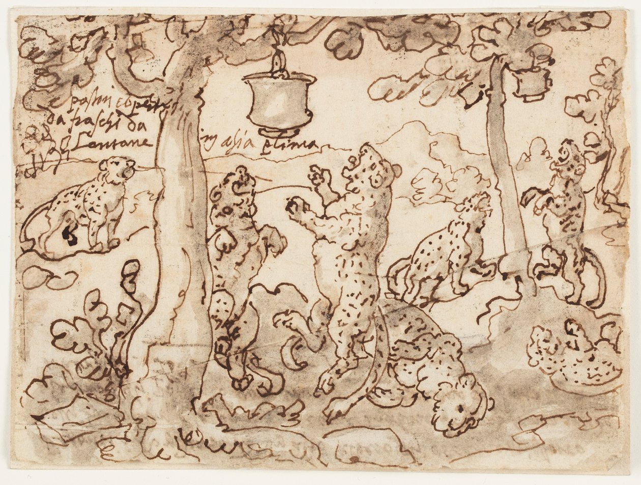 Le piège à panthère - Jan van der Straet, called Stradanus