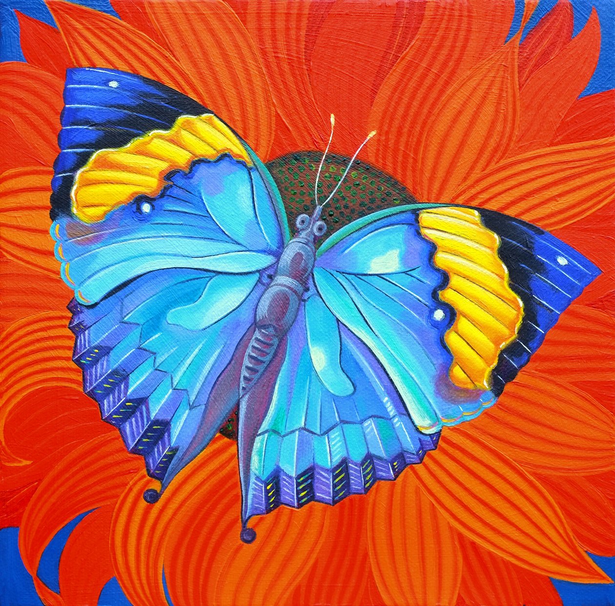Papillon feuille indien, 2014 - Jane Tattersfield