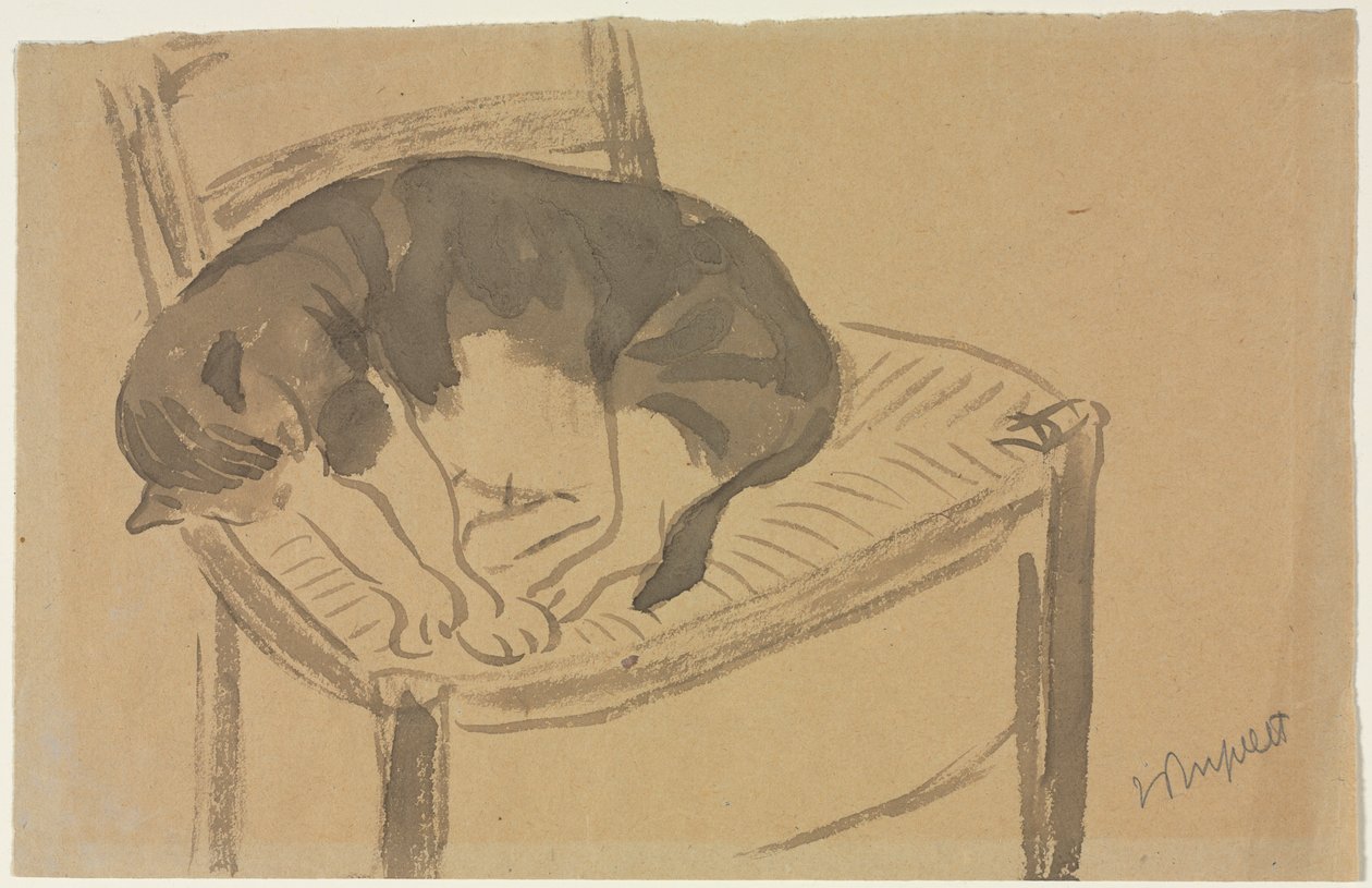 Chat endormi, premier tiers des années 1900 - Jane Poupelet
