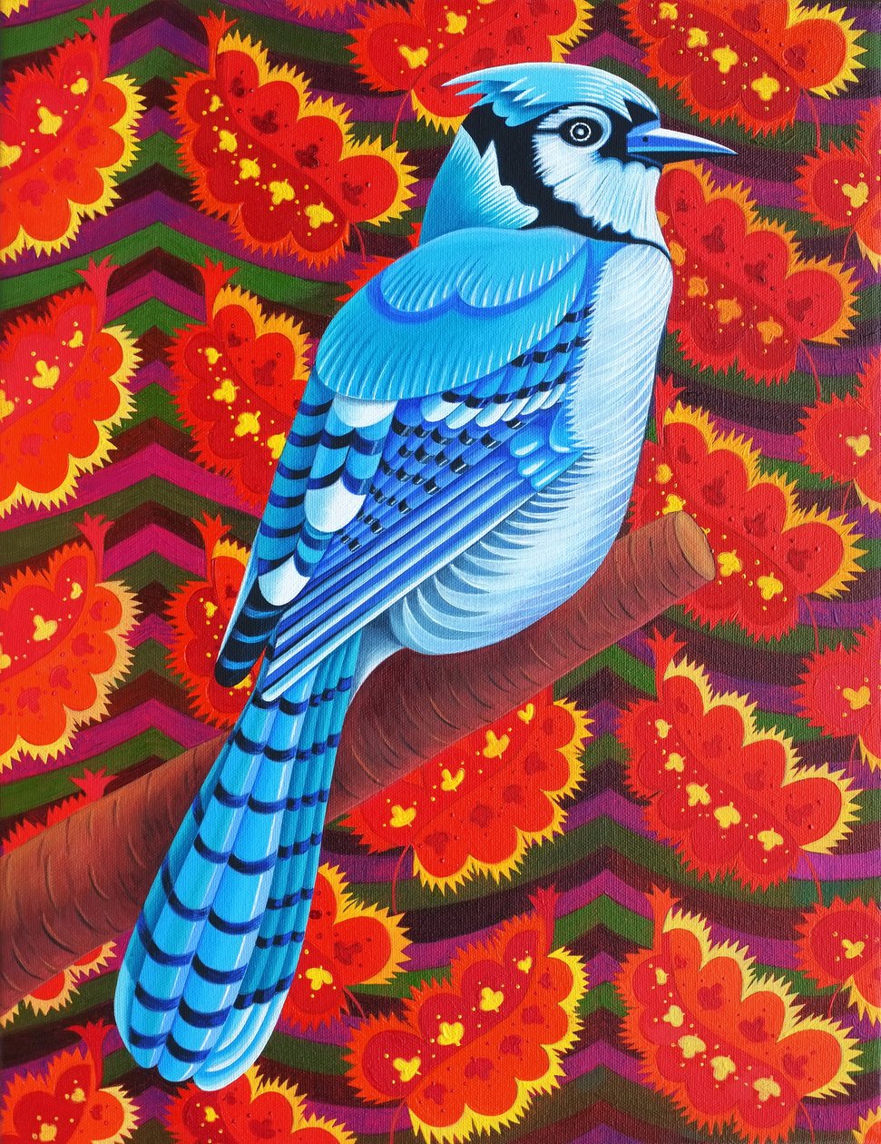Geai bleu, 2016 - Jane Tattersfield