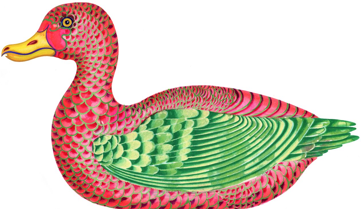 Canard - Jane Tattersfield