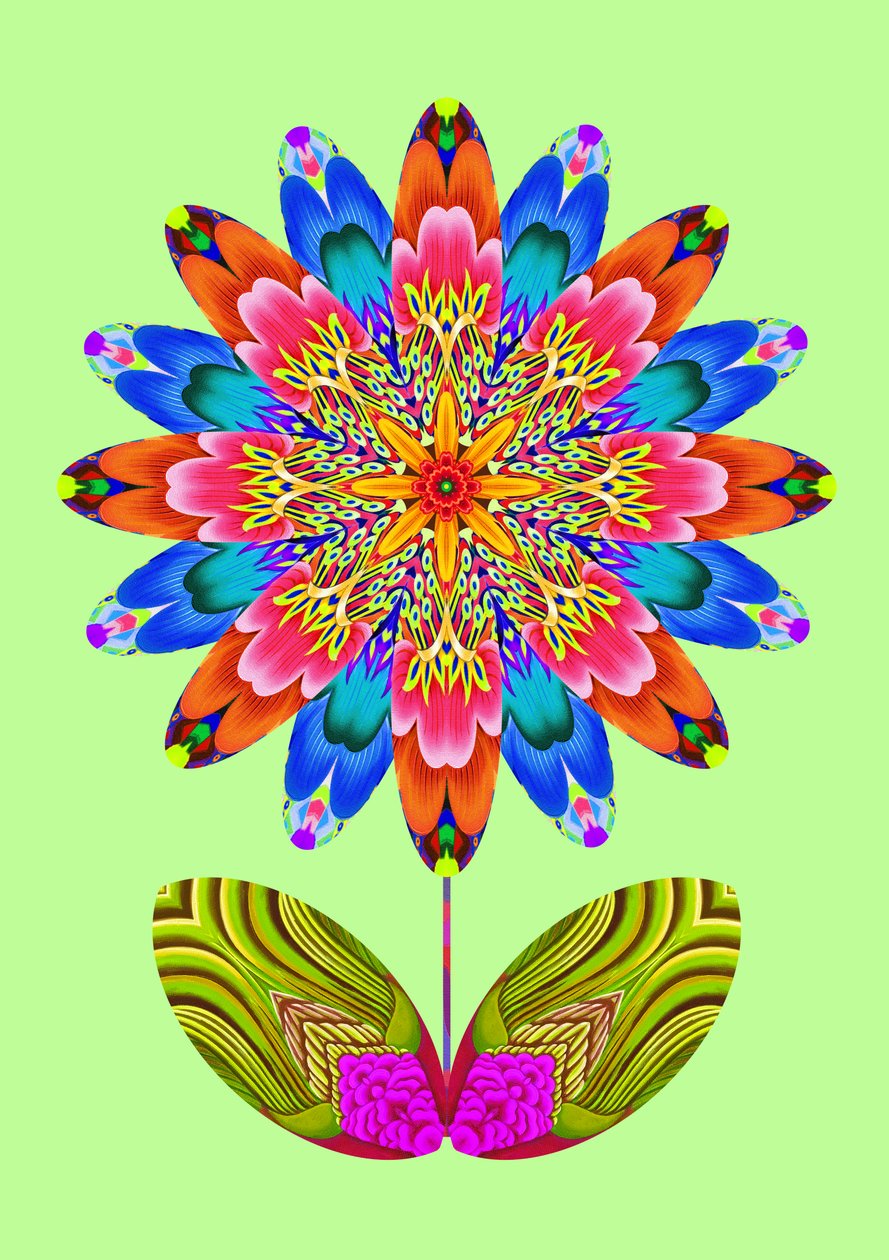Découpe de fleur sur vert pâle - Jane Tattersfield
