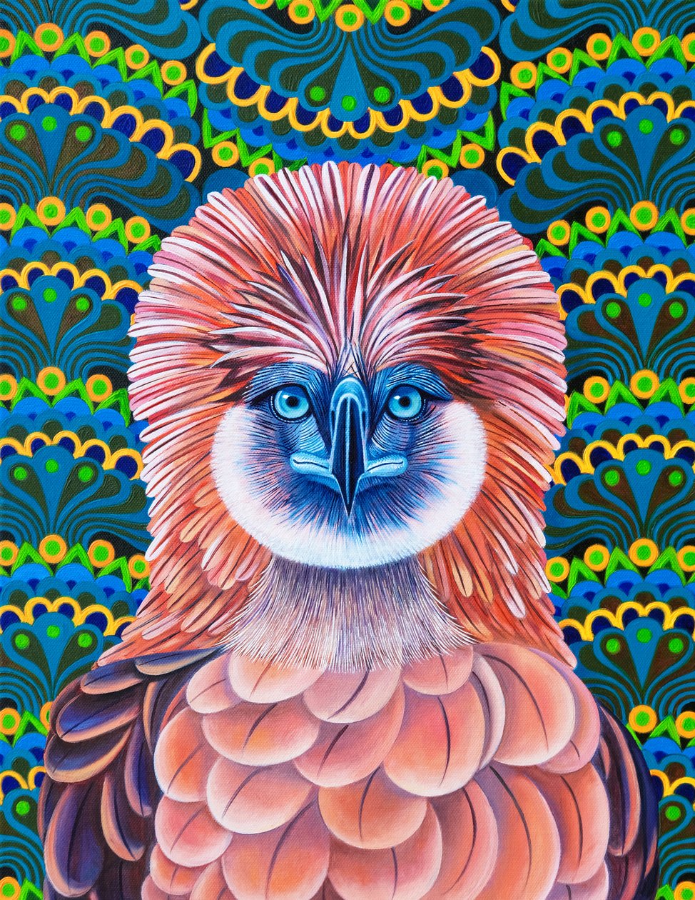 Aigle des Philippines - Jane Tattersfield