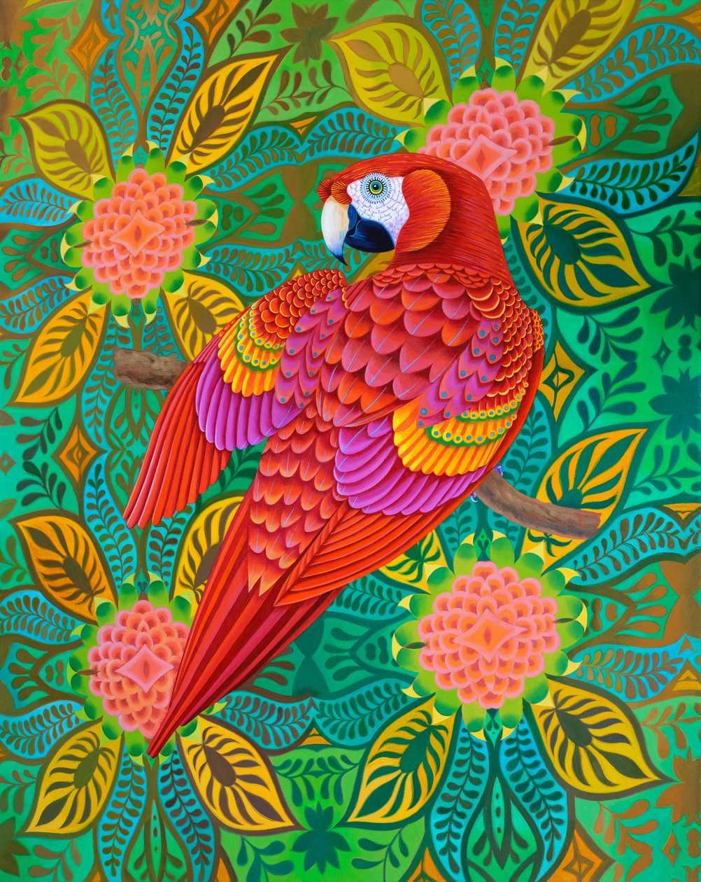 Perroquet rouge, 2021 - Jane Tattersfield