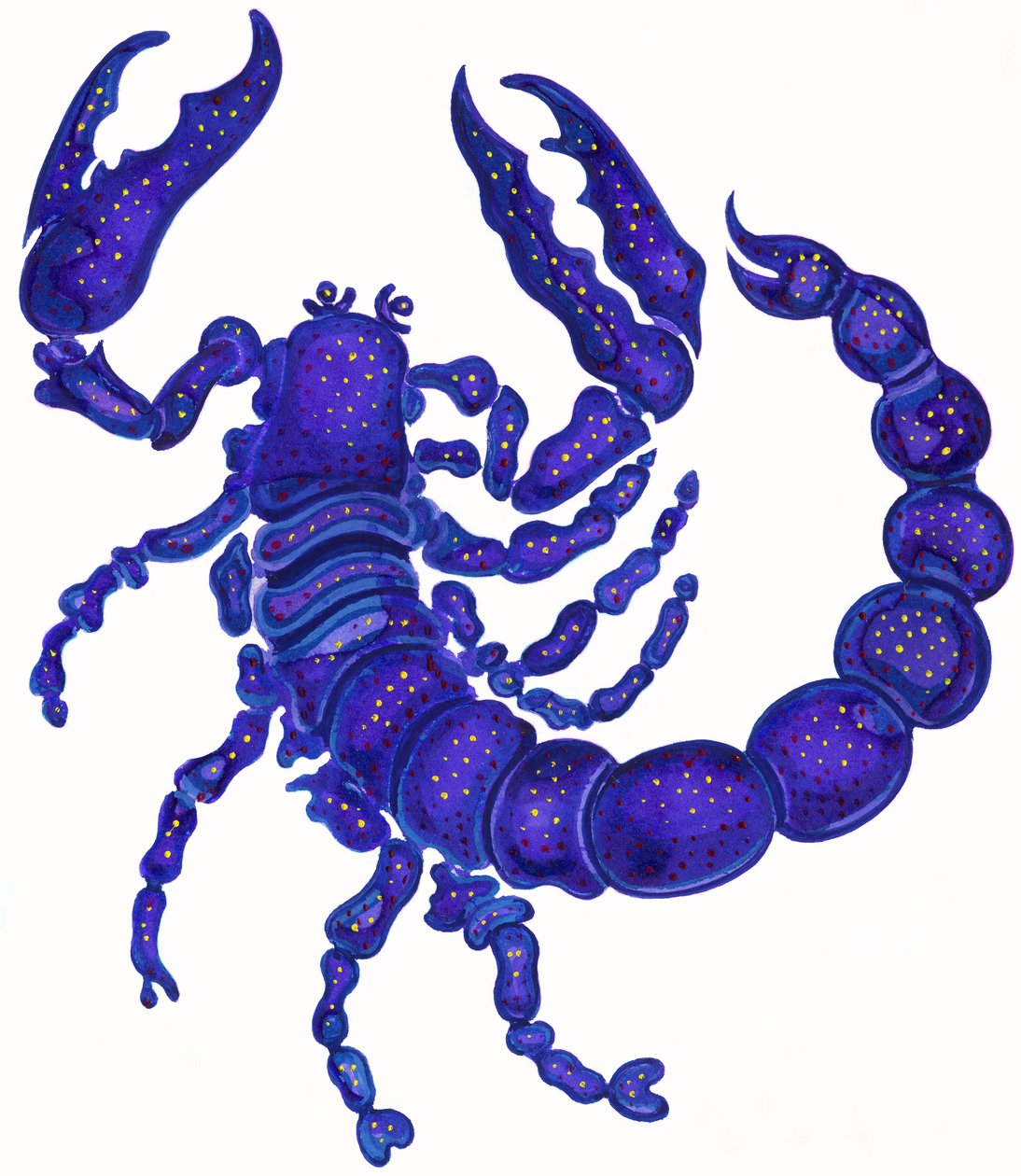 Scorpion - Jane Tattersfield