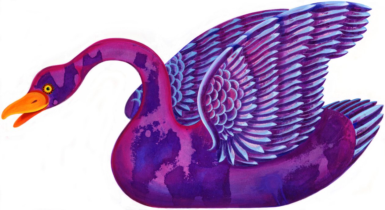 Cygne - Jane Tattersfield