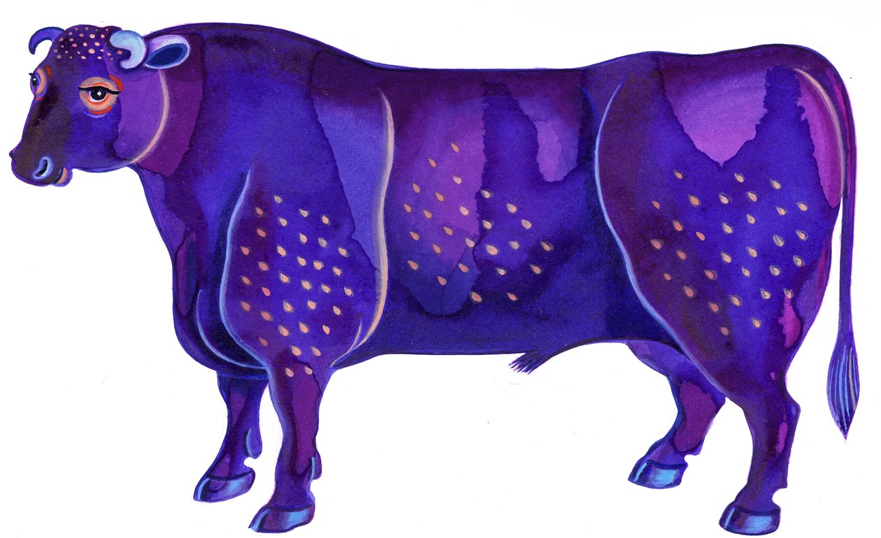 Taureau - Jane Tattersfield