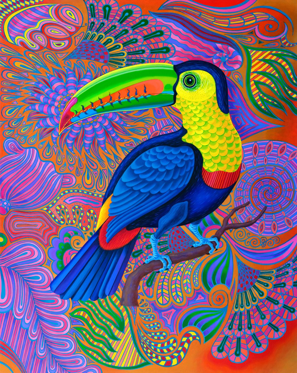 Toucan, 2021 - Jane Tattersfield