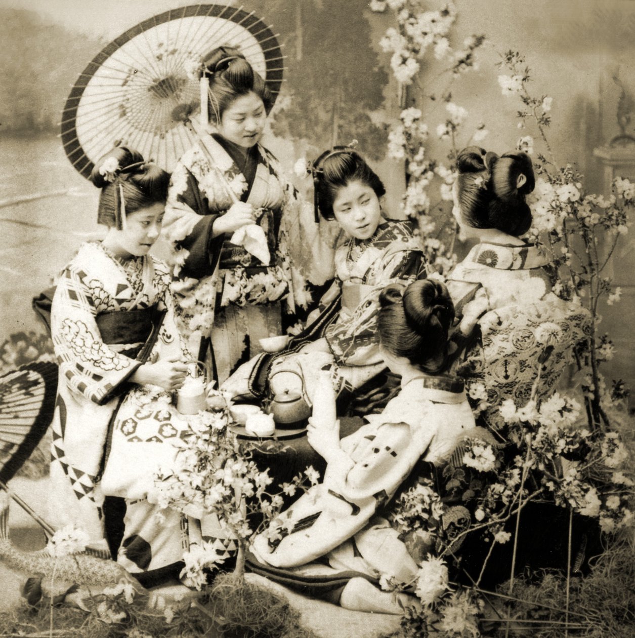 Parmi les fleurs de cerisier, vers 1900 - Japanese Photographer