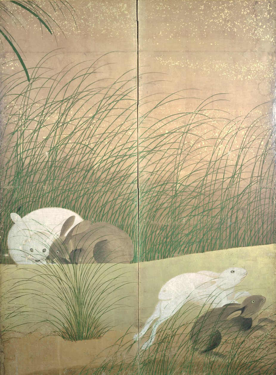 Lièvres et herbes d