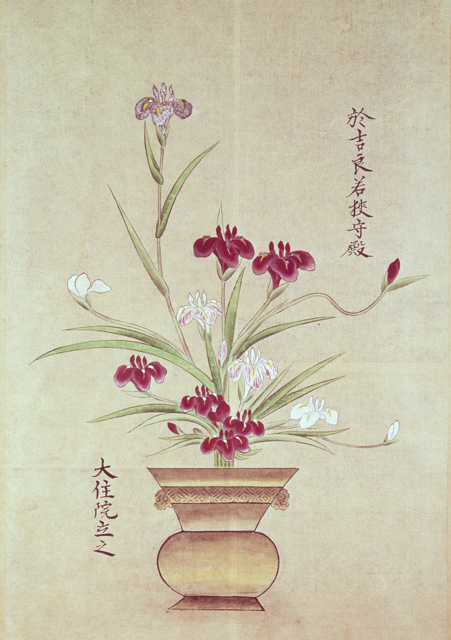 Orchidées - Japanese School
